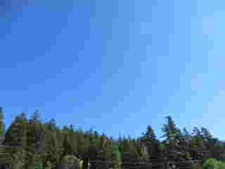 Beispielauschnitt eines Bildes, dessen Kompression Konturierung eingeführt hat