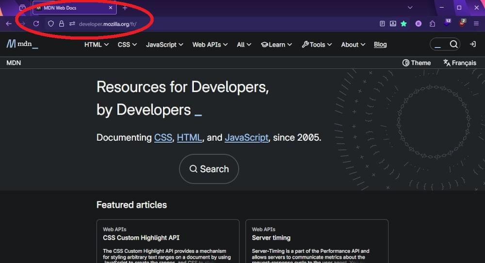 Exemple de nom de domaine dans la barre d'adresse du navigateur